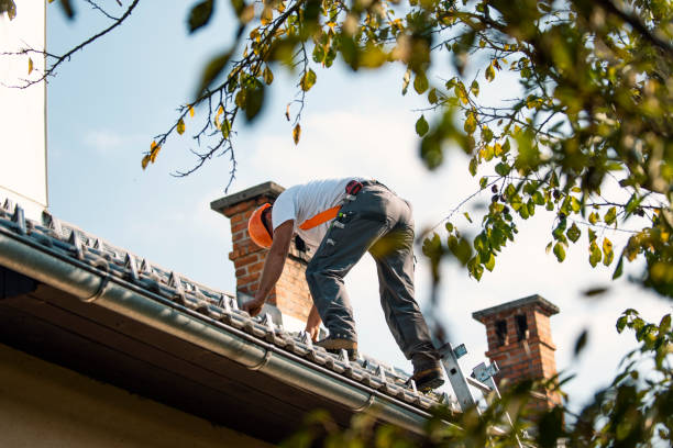 Best Chimney Flashing Repair  in Smithville, OH