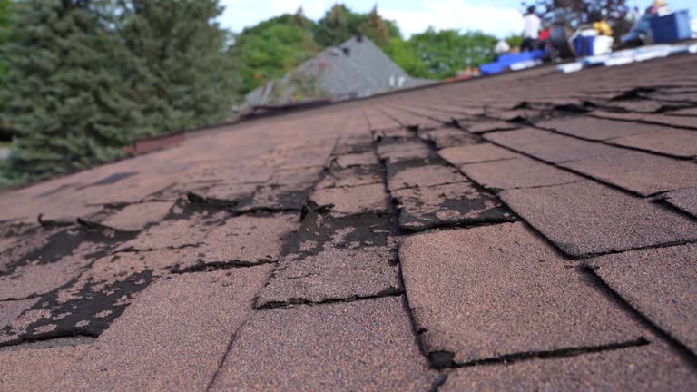 Best 4 Ply Roofing  in Smithville, OH